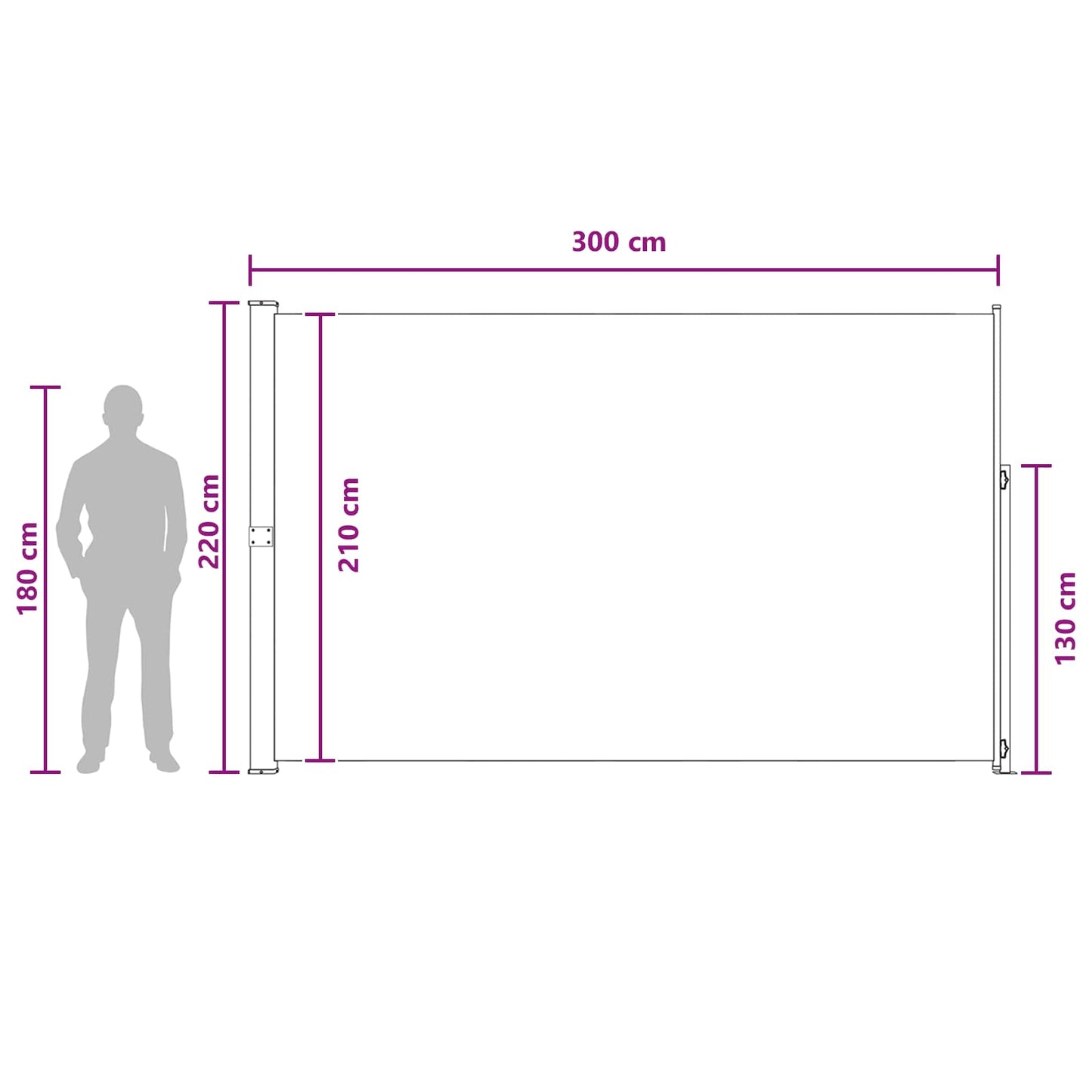 Udtrækkeligt side-markise 220 x 300 cm Polyester Rektangulær