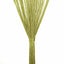trådgardiner 2 stk. 100 x 250 cm grøn