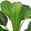kunstig bananplante med potte 150 cm grøn