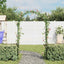rosenbue 2 stk. til klatreplanter