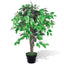 Kunstig Plante Ficus Træ med Potte 90 cm