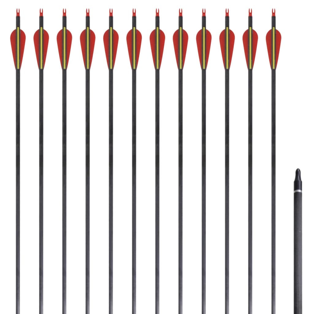 Standard recurve-pile 12 stk. 0,76 cm 30" carbon billede