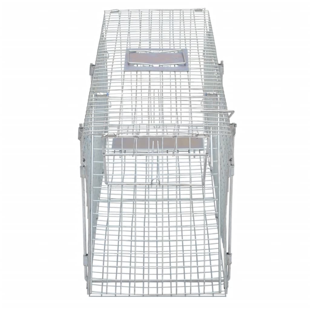 levende fælde 100 cm galvaniseret