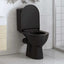 toiletsæde med soft-close og quick release-design sort