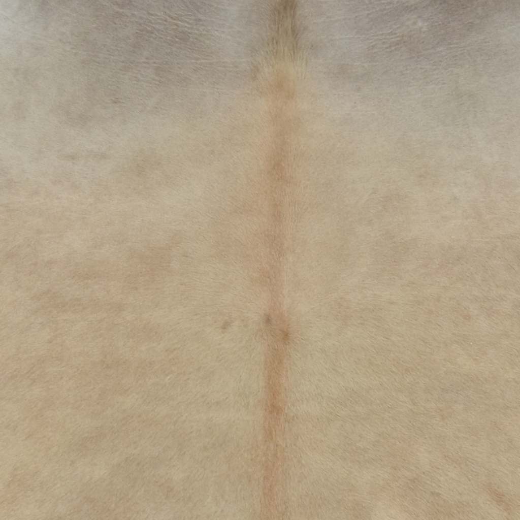 gulvtæppe i ægte koskind 150 x 170 cm beige