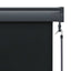 udendørs rullegardin 100x250 cm antracitgrå