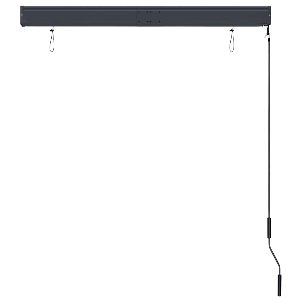 udendørs rullegardin 120x250 cm antracitgrå