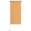 udendørs rullegardin 65 (B) x 230 (H) cm beige