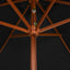 haveparasol 200x300 cm træstang sort