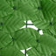 altanafskærmning 500x150 cm grønne blade