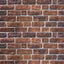 Vægpaneler 10 pcs Brun Mursten 100 x 50 cm EPS Skum