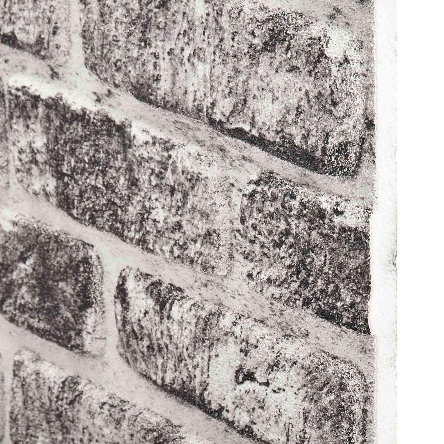 Vægpaneler 10 pcs Mørkegrå og Hvid 100 x 50 cm EPS Skum