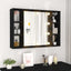 spejlskab med LED-lys 76x15x55 cm sort