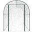 drivhus 160x400x190 cm PVC og pulverlakeret stål transparent