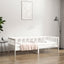 daybed uden madras 80x200 cm massivt fyrretræ hvid