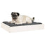 hundeseng 61,5x49x9 cm massivt fyrretræ hvid