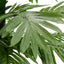 LED-palmetræ 220 cm 136 LED'er varmt hvidt lys hvid
