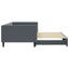 daybed med udtræk 100x200 cm velour mørkegrå