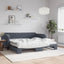 daybed med udtræk og madras 100x200 cm velour mørkegrå