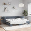 daybed med udtræk 100x200 cm velour mørkegrå