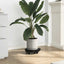 plantevogne 5 stk. med hjul 170 kg diam. 30 cm sort