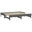 daybed med udtræk 2x(90x190) cm massivt fyrretræ grå