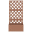 plantekasser med espalier 2 stk. 65x33x135 cm WPC brun