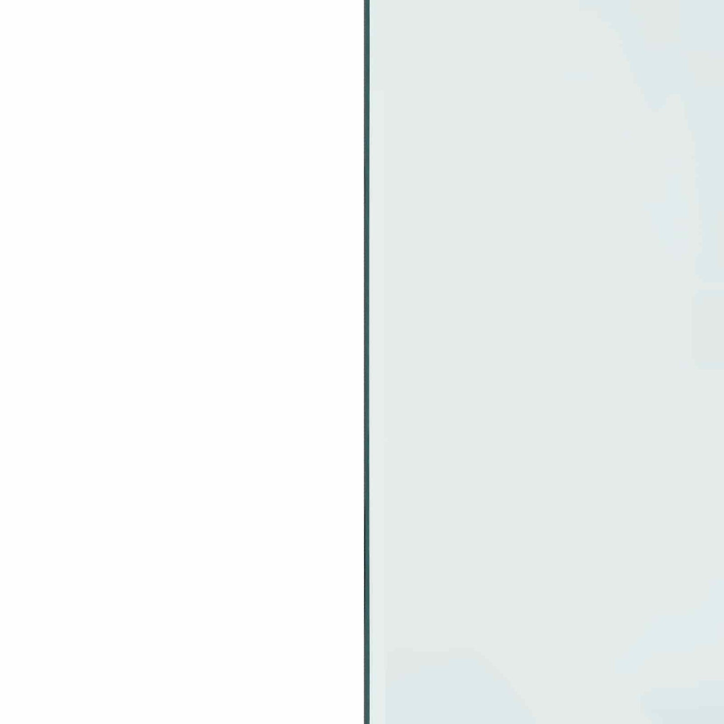 Pejs glasplade Transparent 80 x 50 cm Glas