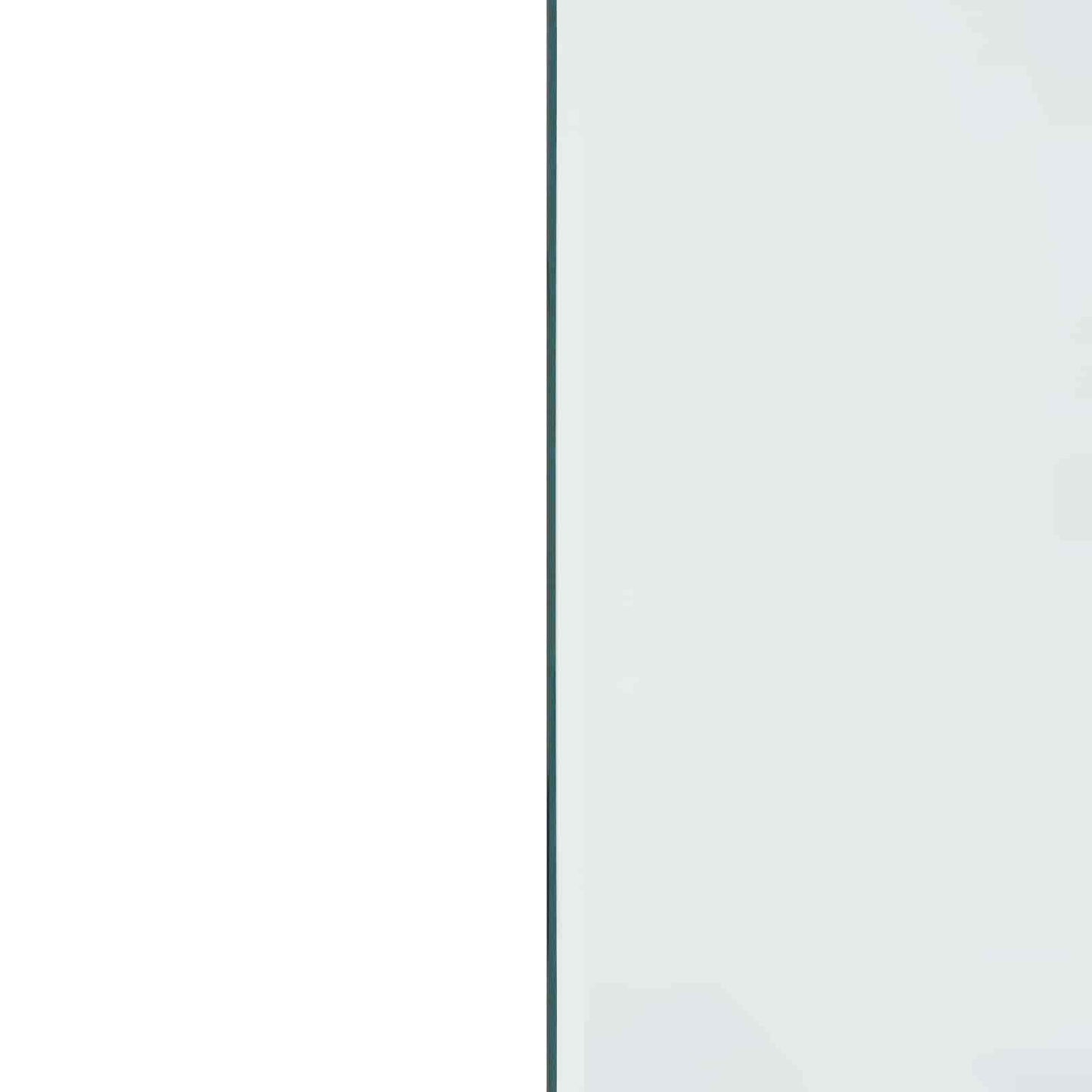 Pejs glasplade Transparent 100 x 50 cm Glas