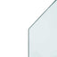 Pejs glasplade Transparent 100 x 50 cm Glas