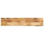 bordplade 160x30x3,8 cm naturlig kant massivt ru mangotræ