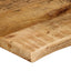 bordplade 120x60x3,8 cm naturlig kant massivt ru mangotræ