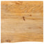 bordplade 60x60x2,5 cm naturlig kant massivt mangotræ