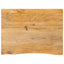 bordplade 90x60x2,5 cm naturlig kant massivt mangotræ