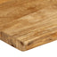 bordplade 160x40x2,5 cm naturlig kant massivt mangotræ