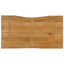 bordplade 120x60x2,5 cm naturlig kant massivt mangotræ