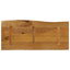 bordplade 90x40x3,8 cm naturlig kant massivt mangotræ