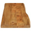 bordplade 120x40x3,8 cm naturlig kant massivt mangotræ