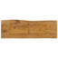 bordplade 140x40x3,8 cm naturlig kant massivt mangotræ