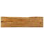 bordplade 160x40x3,8 cm naturlig kant massivt mangotræ