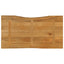 bordplade 120x60x3,8 cm naturlig kant massivt mangotræ