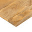 bordplade 60x20x2,5 cm rektangulær massivt mangotræ