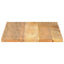 bordplade 80x50x3,8 cm rektangulær massivt mangotræ