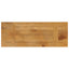bordplade 90x20x2,5 cm rektangulær massivt mangotræ