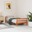 sengeramme uden madras 90x190 cm massivt fyrretræ gyldenbrun
