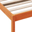 daybed uden madras 80x200 cm massivt fyrretræ gyldenbrun