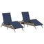 liggestole 2 stk. med bord polyrattan grå