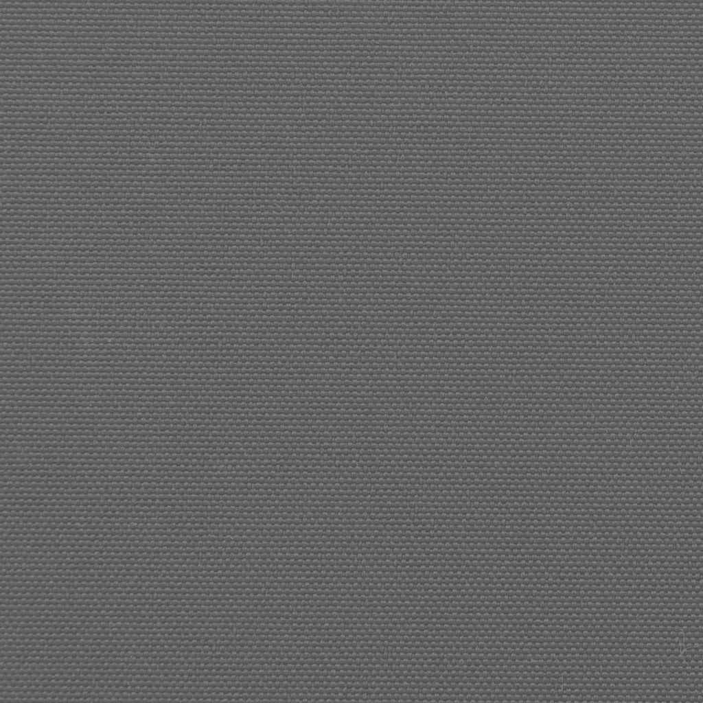 udtrækkelig sidemarkise antracit 100x300 cm
