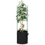 espalierer med planteposer 8 stk. 116 cm stål og PP