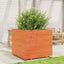 plantekasse 80x80x72 cm massivt fyrretræ gyldenbrun